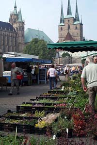 Wochenmarkt auf dem Erfurter Domplatz